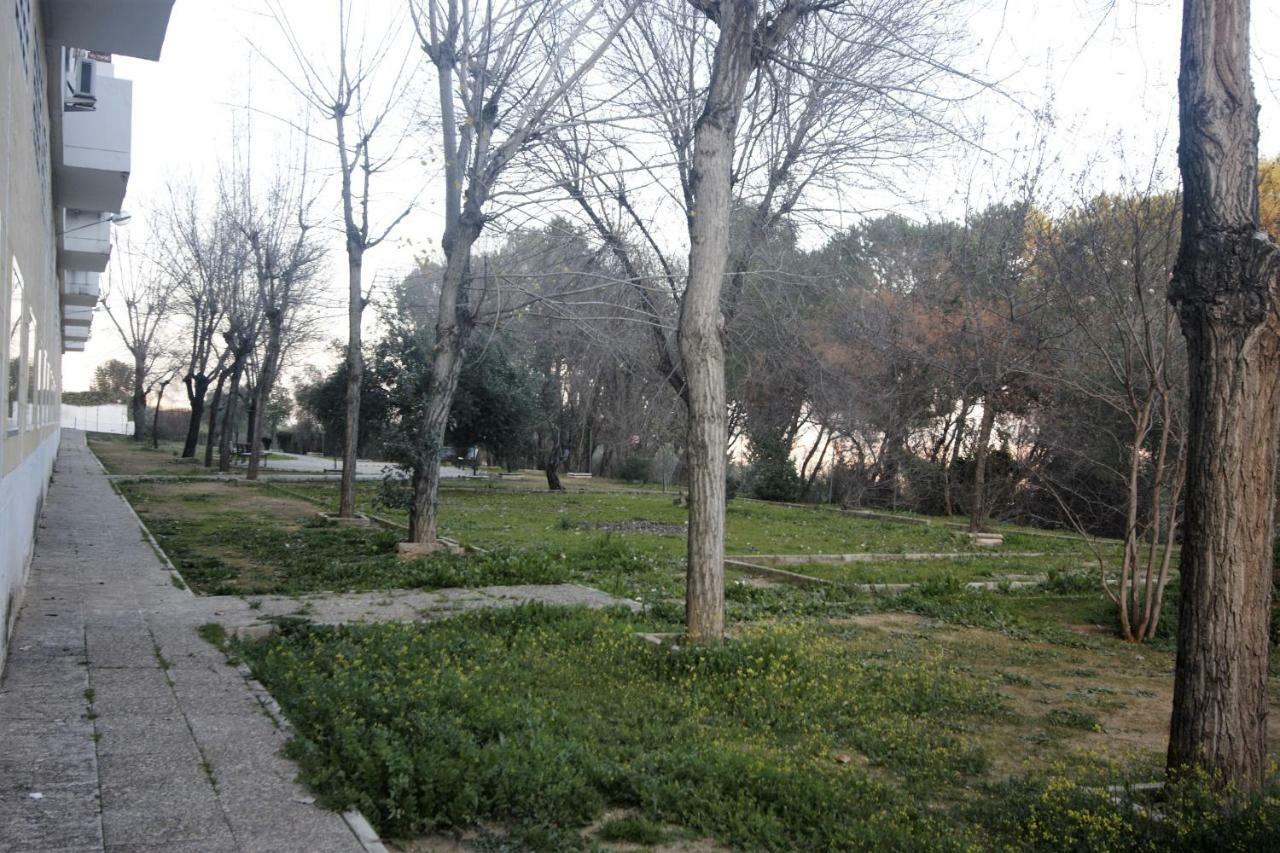 Bonito Apart. Con Parking Y Piscina Mairena del Aljarafe Eksteriør bilde